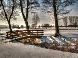 Winter-Impressionen_4