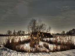 Winter-Impressionen_5