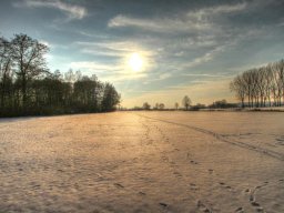 Spuren im Schnee