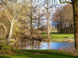 Wunderschön, der Karpfenweiher