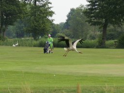 Der Storch ist auch dabei.